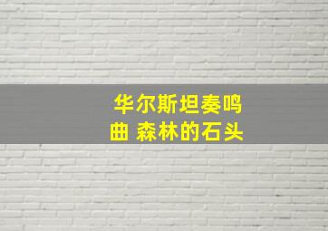 华尔斯坦奏鸣曲 森林的石头